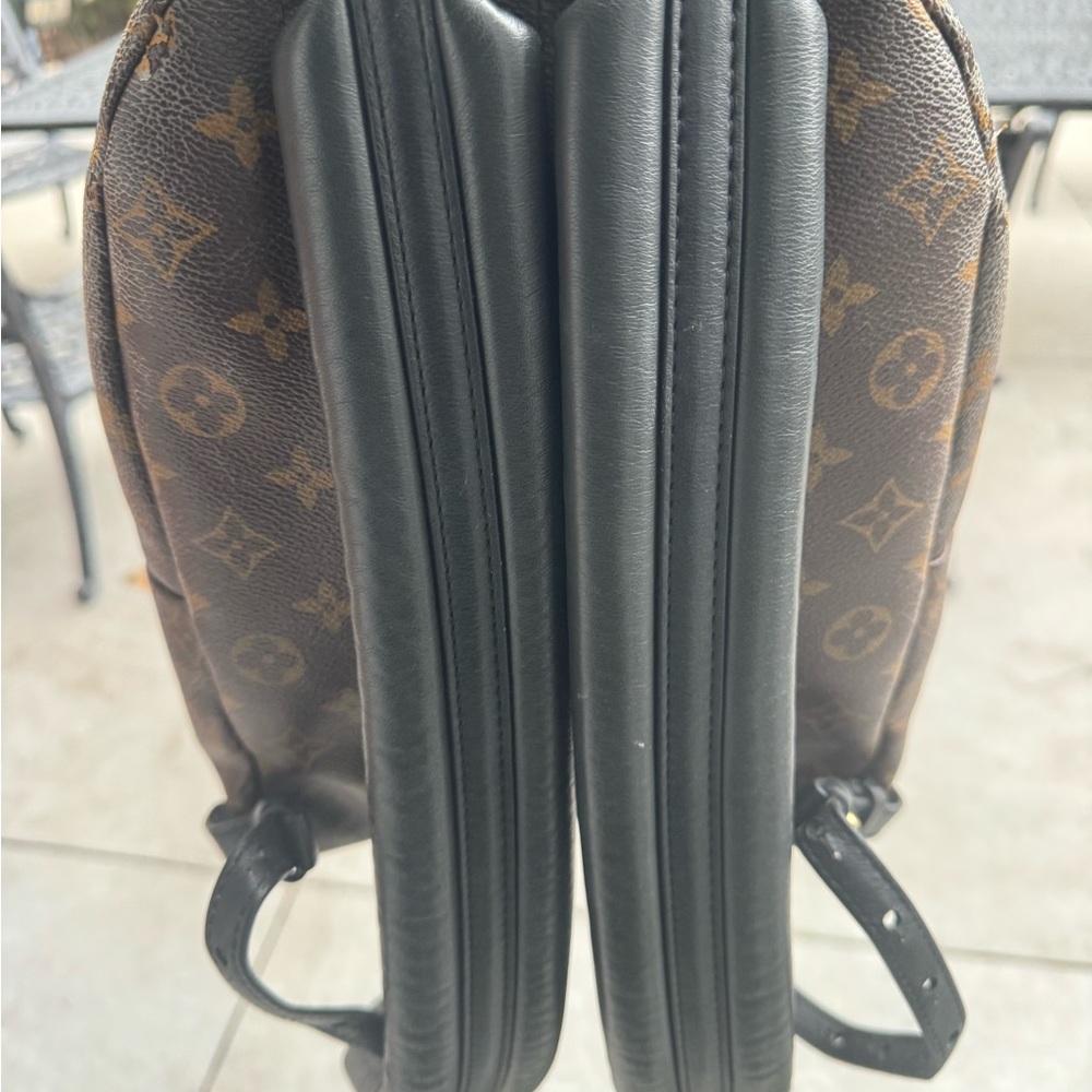 Louis Vuitton Monogrammed Palm Springs PM - Picture 14 of 16